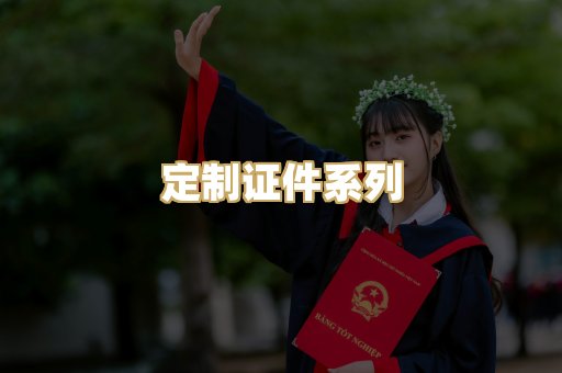 定制证件系列